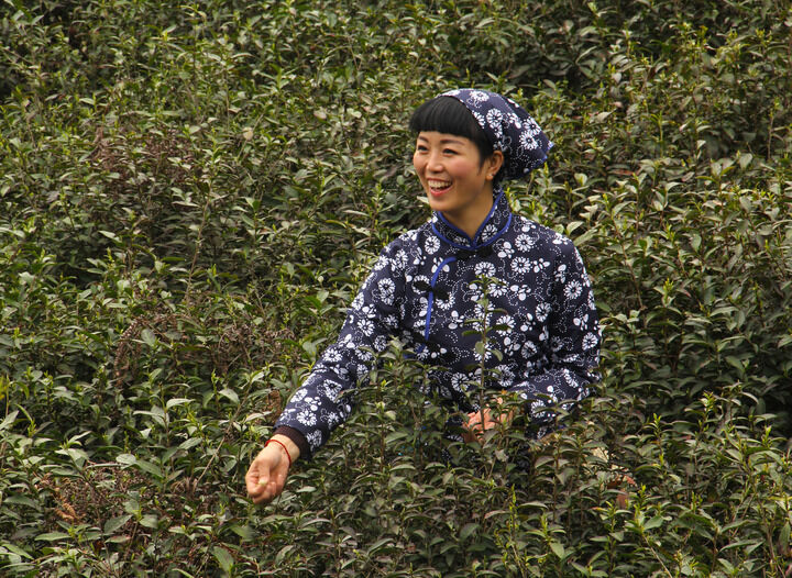 小仙女破解版直播 热门3